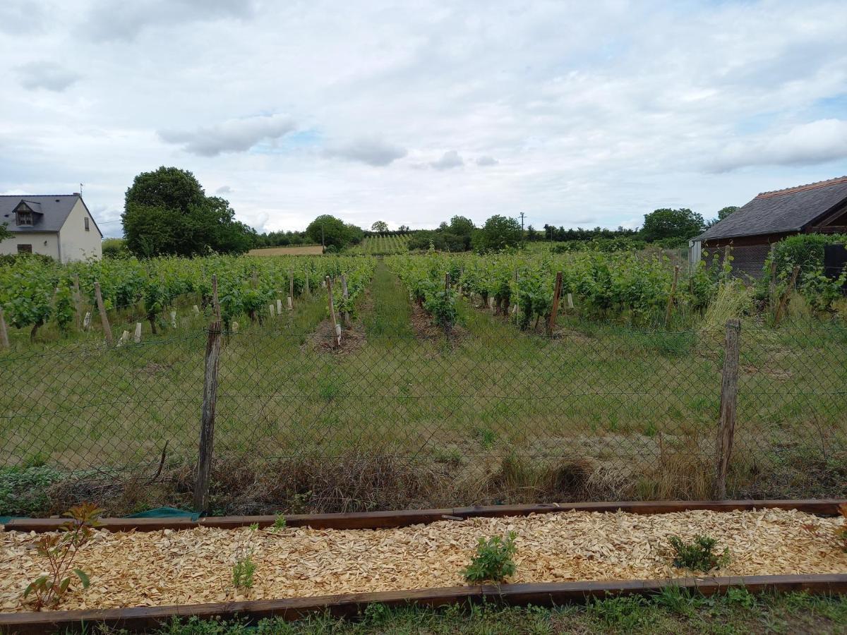 Hebergement Sarment Du Veron Chinon Villa Beaumont-en-Véron Екстериор снимка