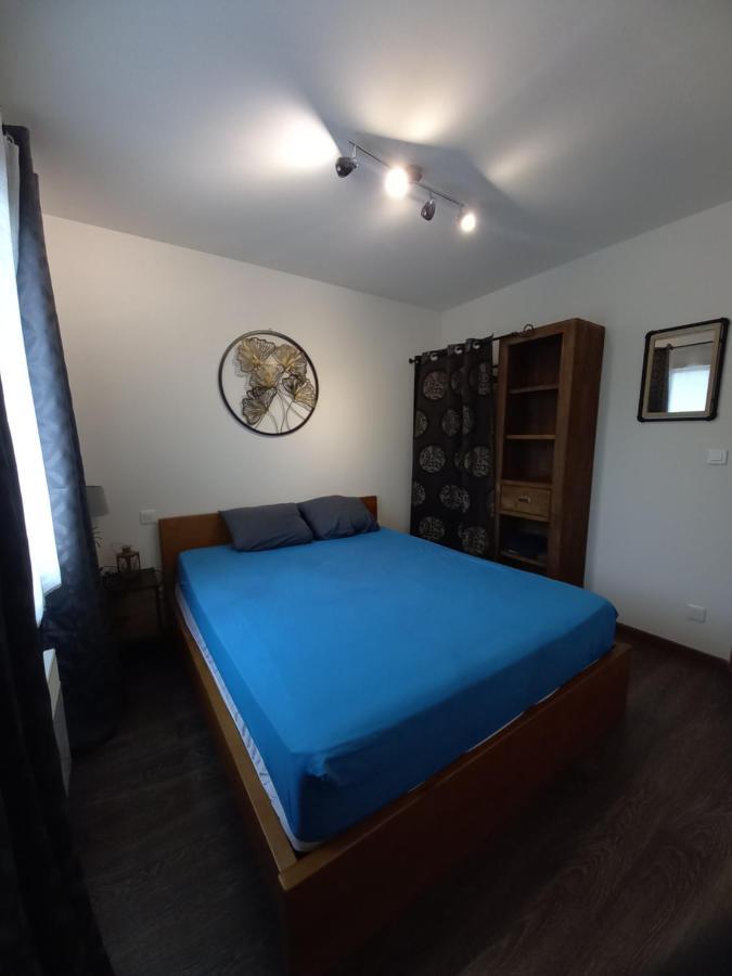 Hebergement Sarment Du Veron Chinon Villa Beaumont-en-Véron Екстериор снимка