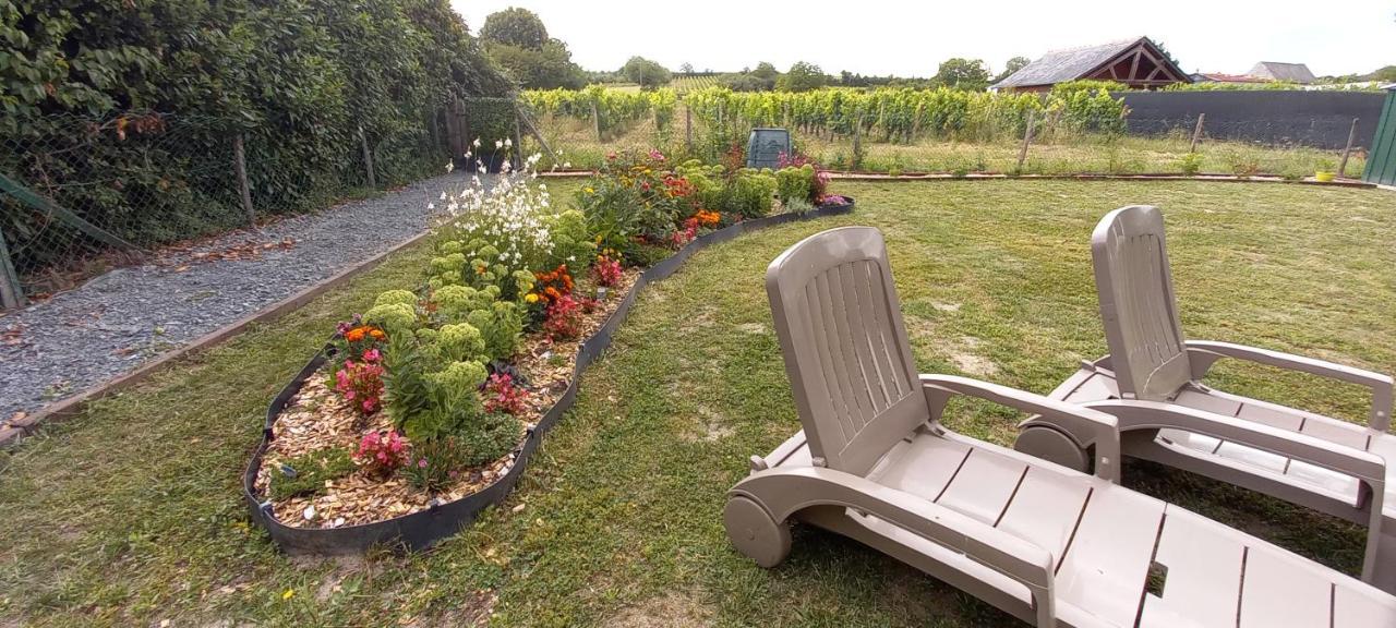 Hebergement Sarment Du Veron Chinon Villa Beaumont-en-Véron Екстериор снимка